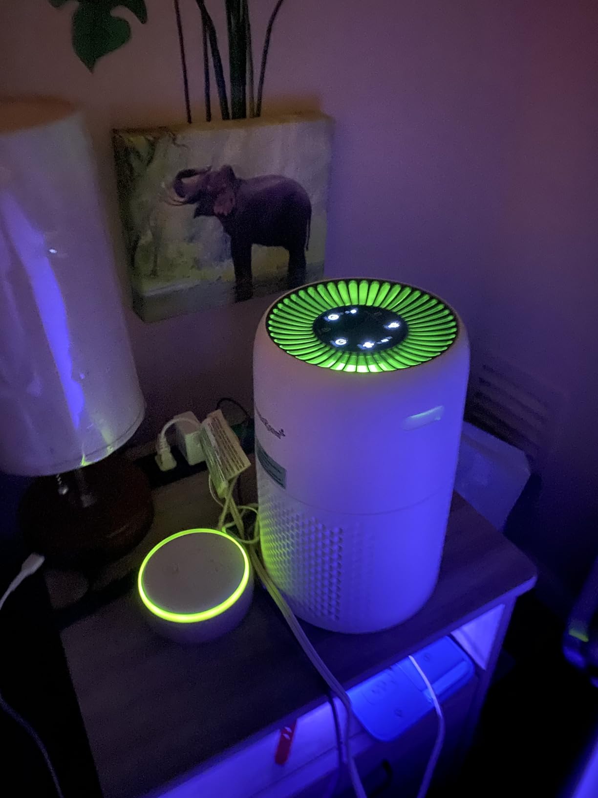 AromaRoom Air Purifier for Home, Air Cleaner for Smoke Pollen Dander Hair customer photo 1