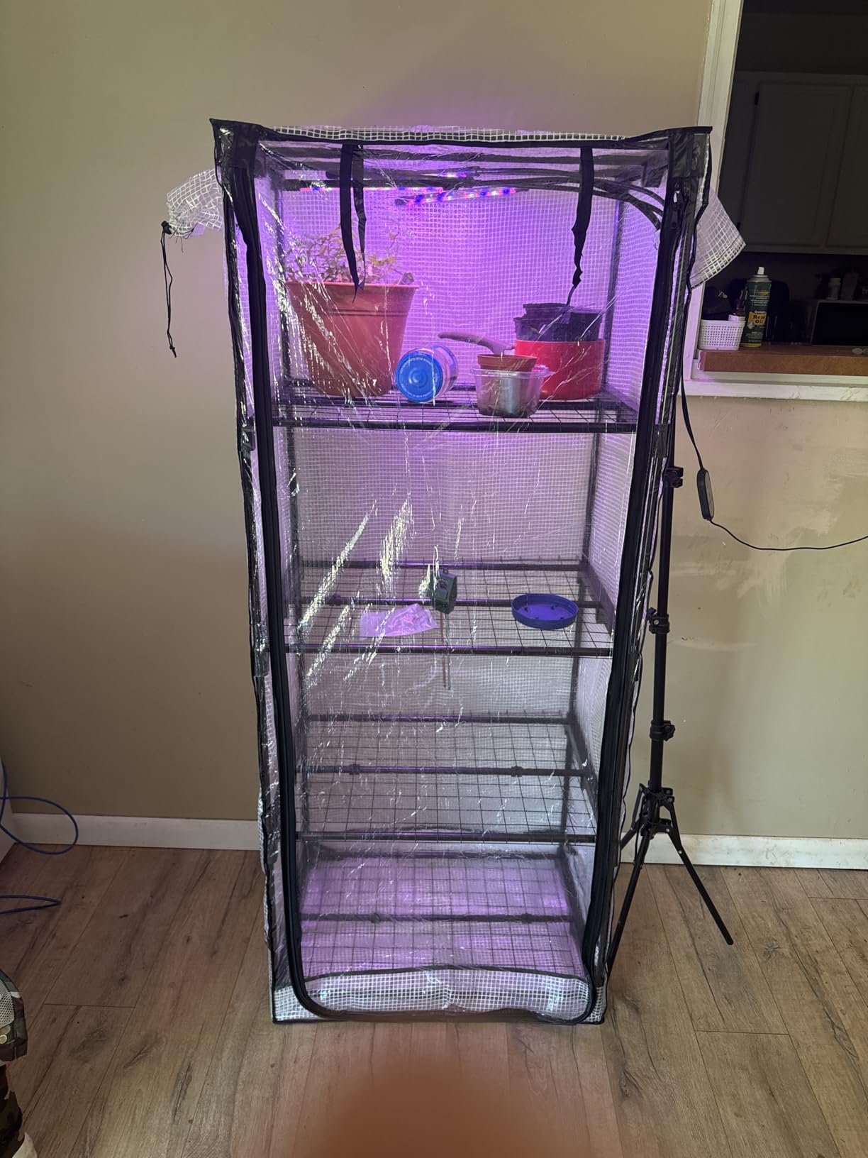 Mushroom Grow Tent customer photo 2