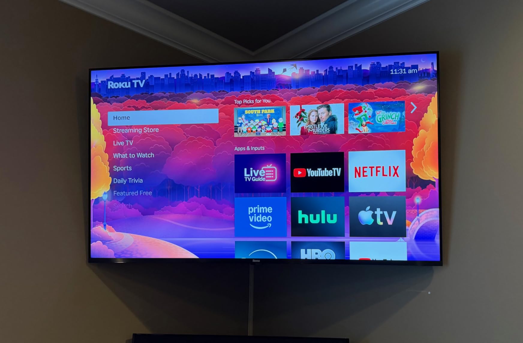 Roku 55-Inch Plus Series Smart TV - 4K QLED Mini-LED TV - RokuTV customer photo 1