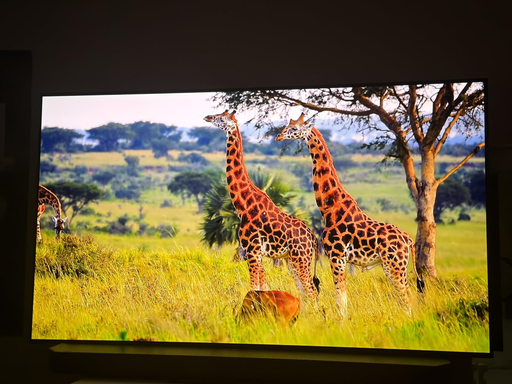 Samsung 42-Inch Class OLED S90F 4K Smart TV (2025 Model) NQ4 AI Gen3 Processor Upscaling Pro HDR +, Motion Xcelerator 144Hz, Vision Alexa Built-in customer photo 1