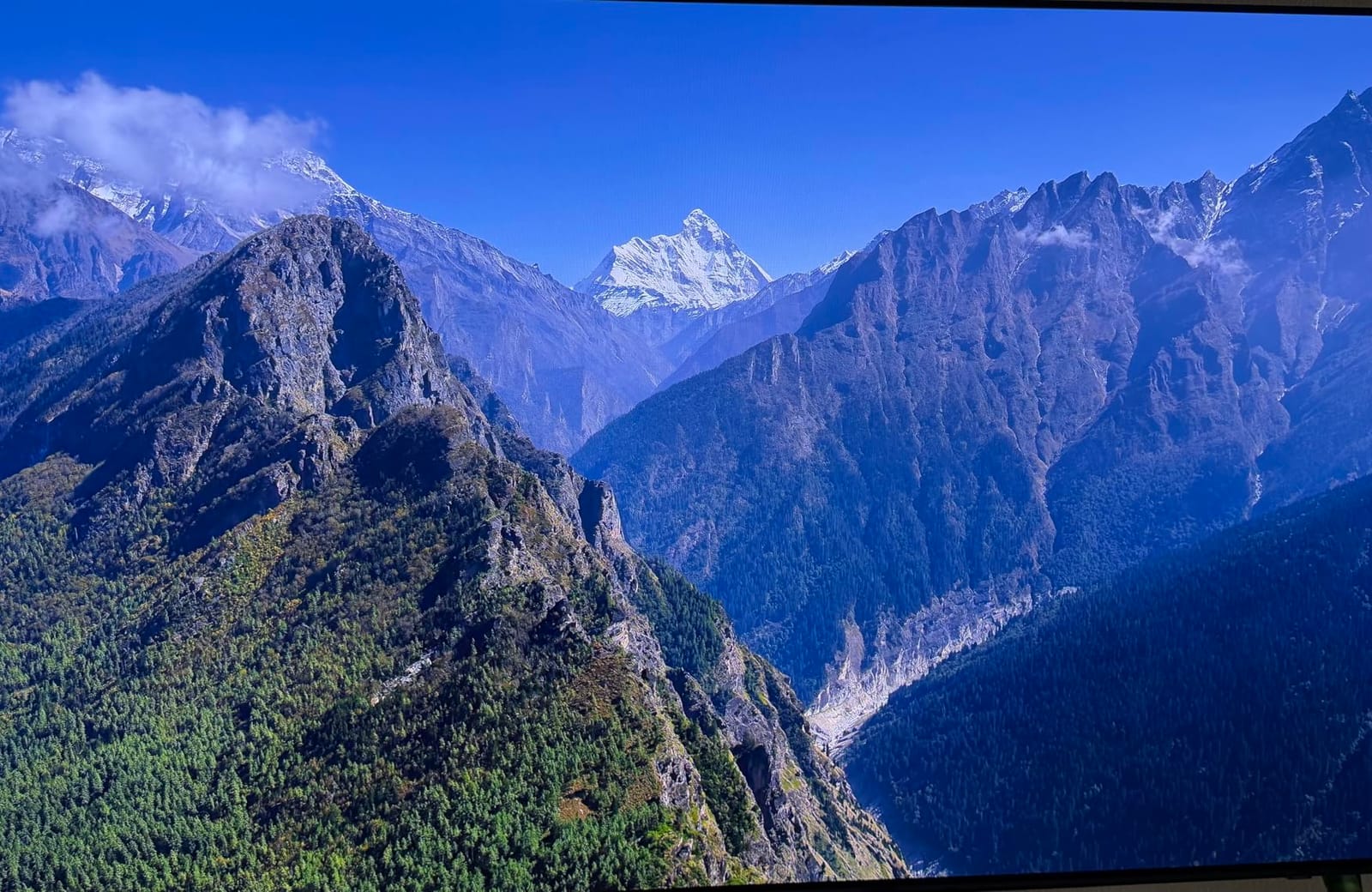 Samsung 42-Inch Class OLED S90F 4K Smart TV (2025 Model) NQ4 AI Gen3 Processor Upscaling Pro HDR +, Motion Xcelerator 144Hz, Vision Alexa Built-in customer photo 2