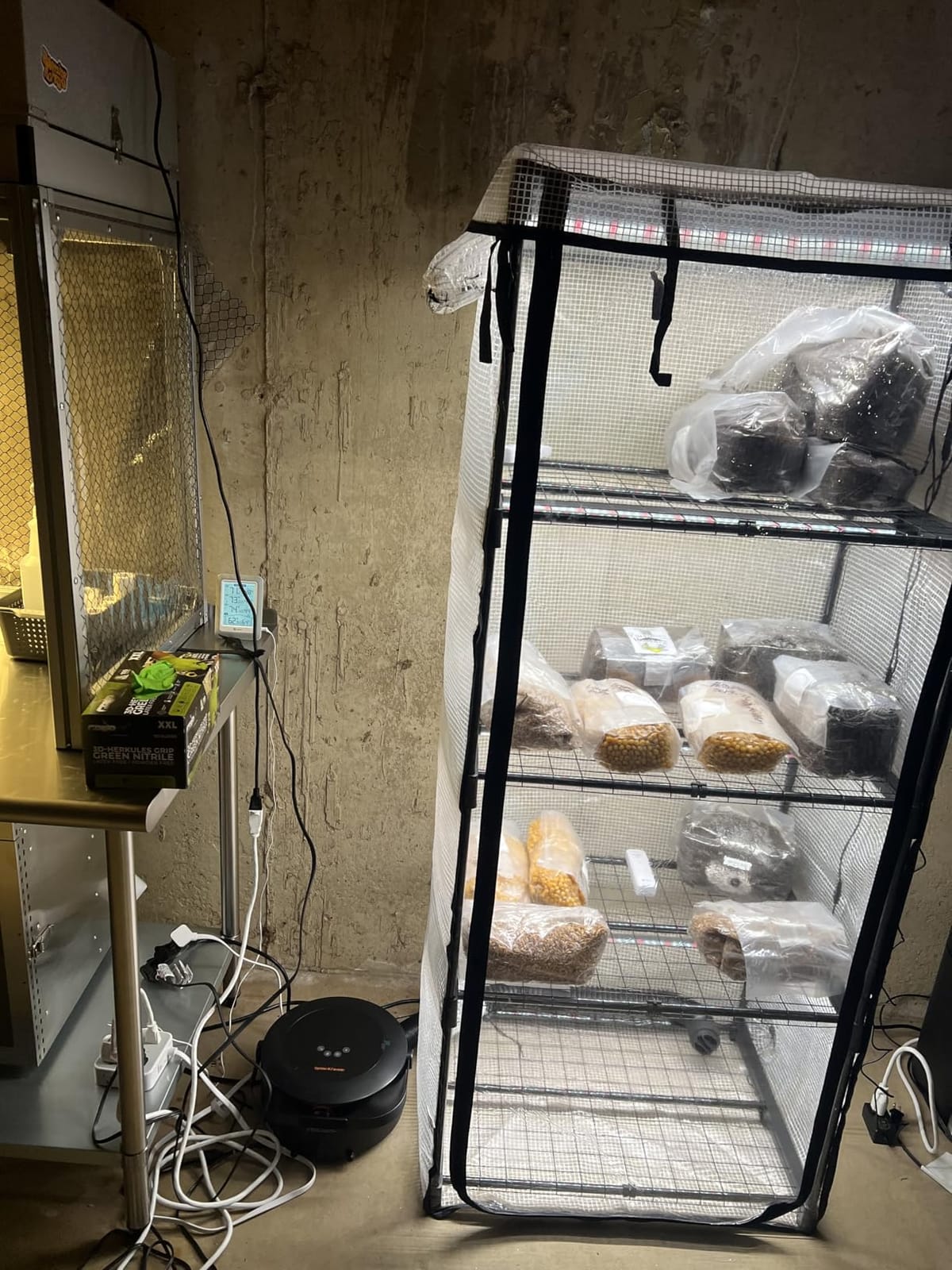 Mushroom Grow Tent with 6500K LED Light & Timer, 4-Tier Shelves customer photo 1