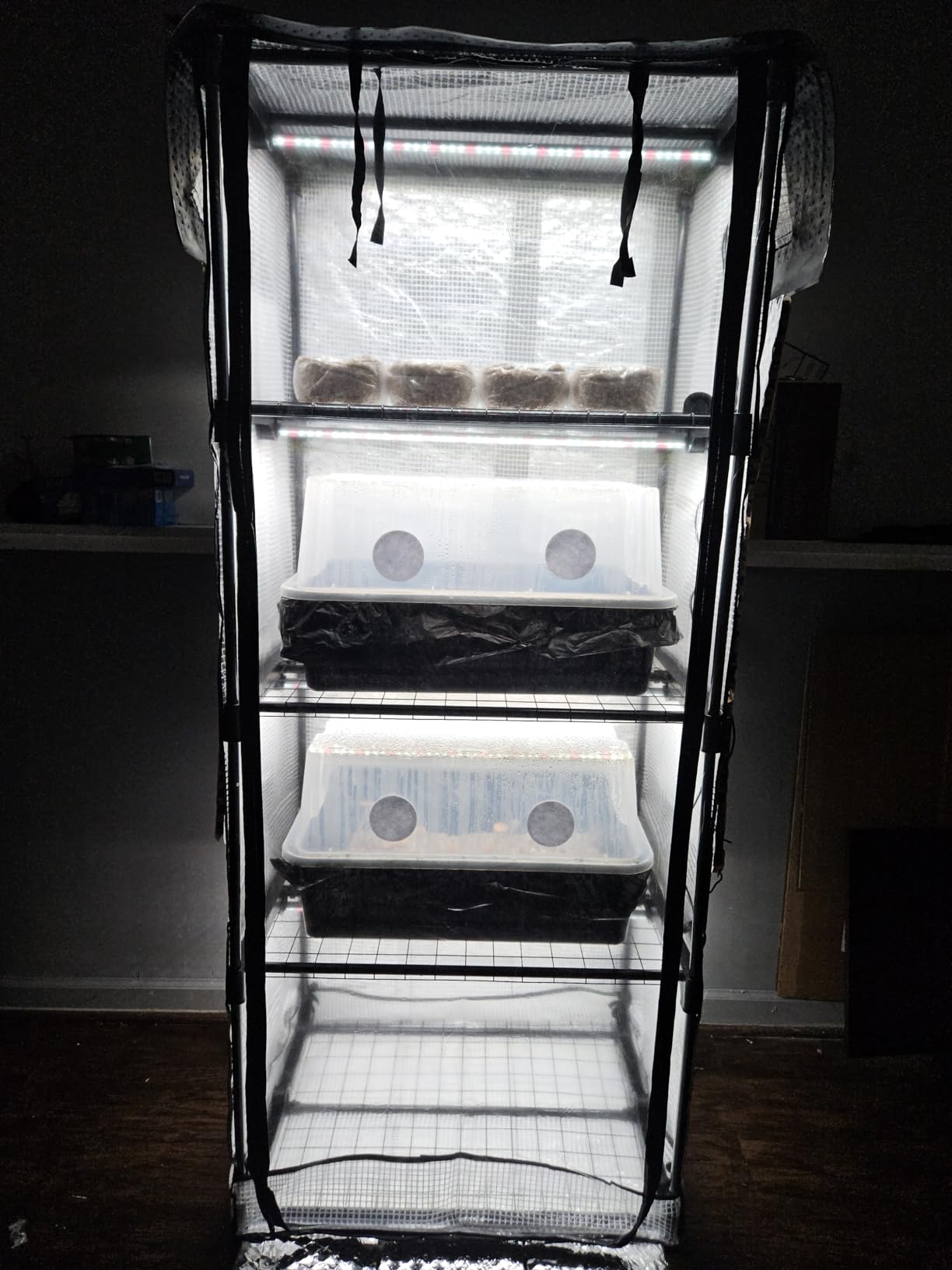 Mushroom Grow Tent with 6500K LED Light & Timer, 4-Tier Shelves customer photo 2