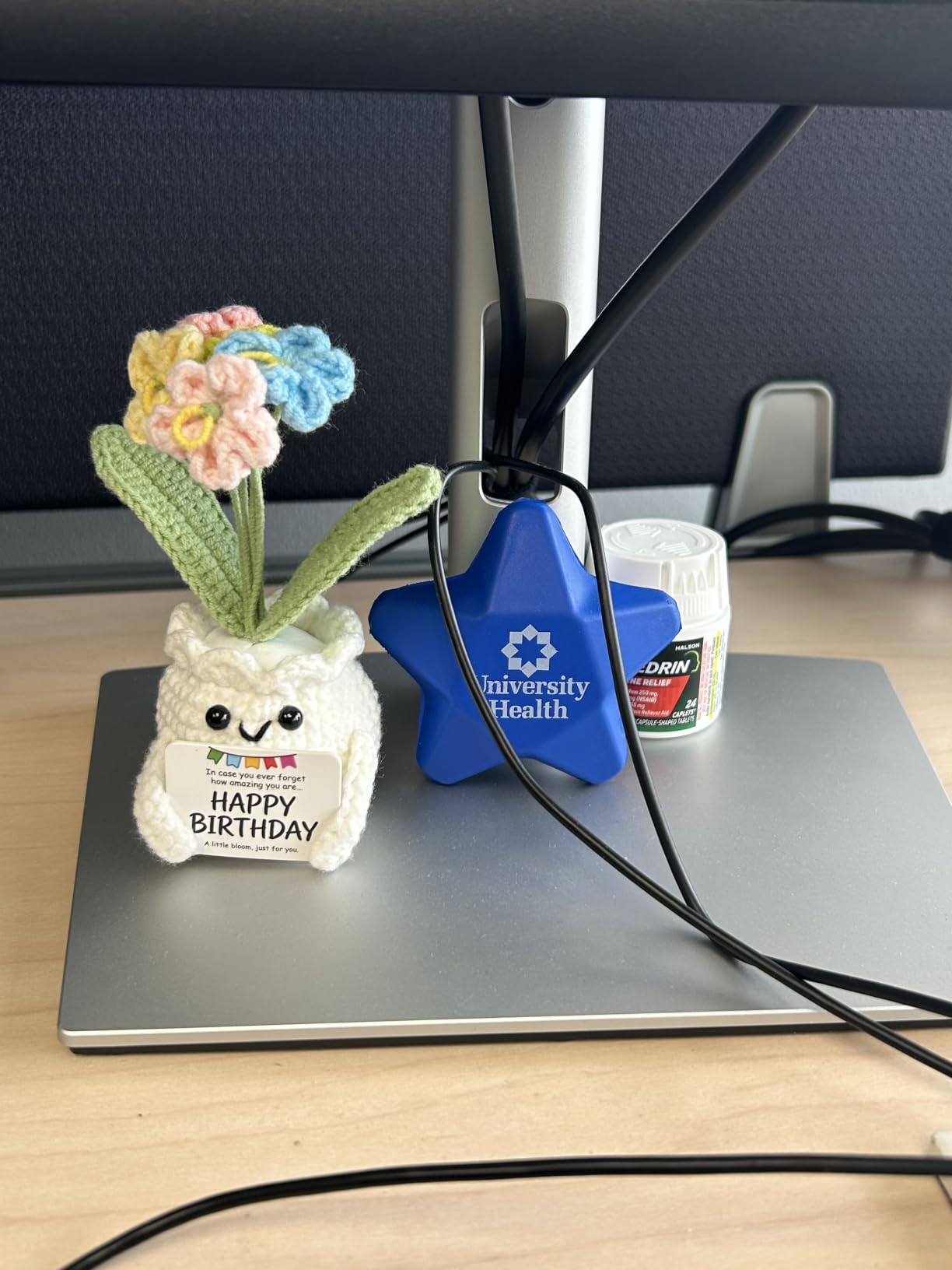 Forget-Me-Not Crochet Flower Potted Plant Gift customer photo 1
