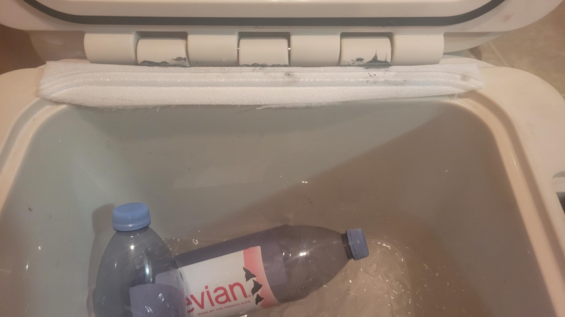 Coleman 45-Quart Pro Cooler, 74-Can Capacity, 4 Days Cold customer photo 2