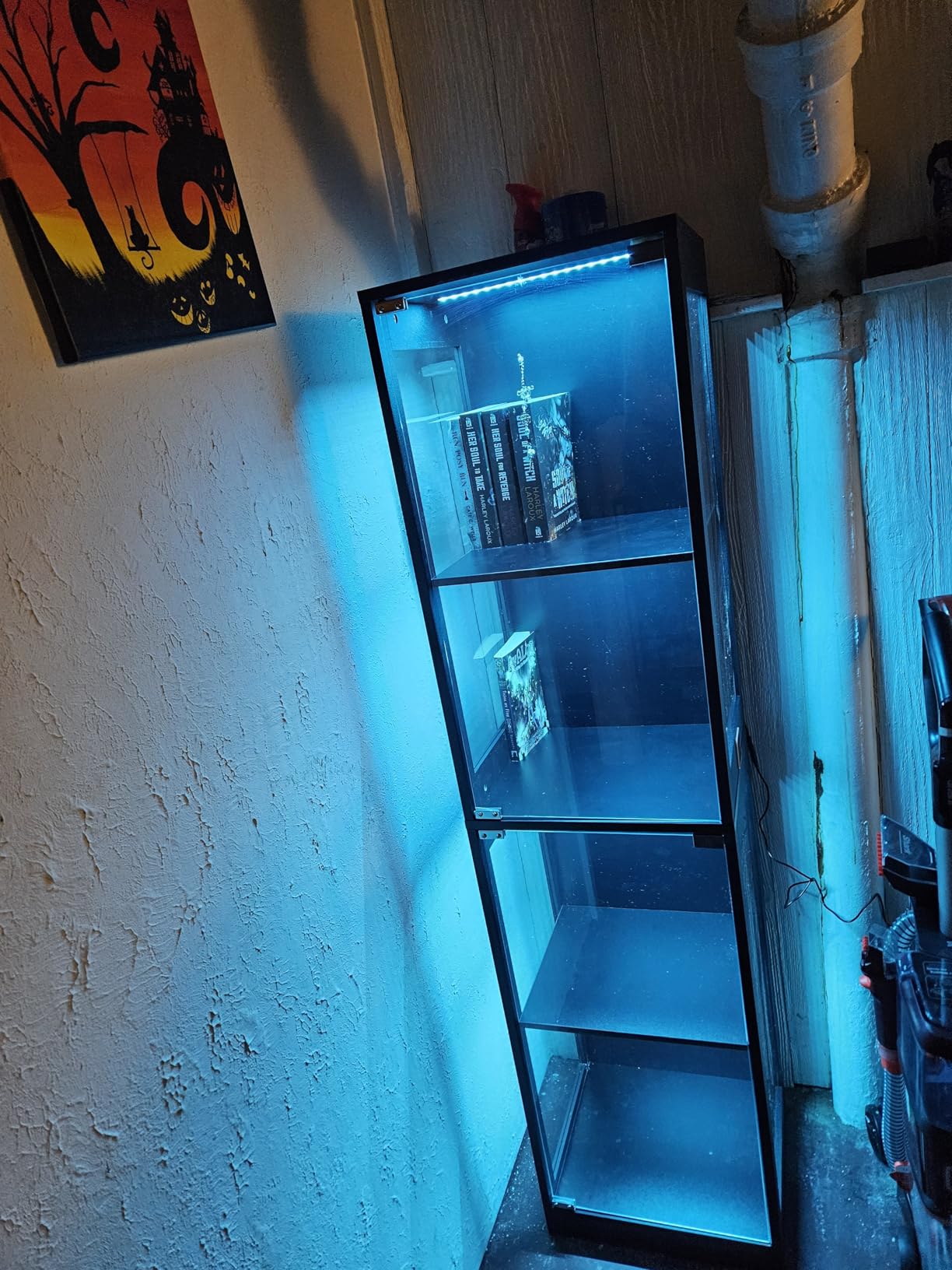 BROTTAR Glass Display Cabinet, Display Case for Collectibles, Black customer photo 1