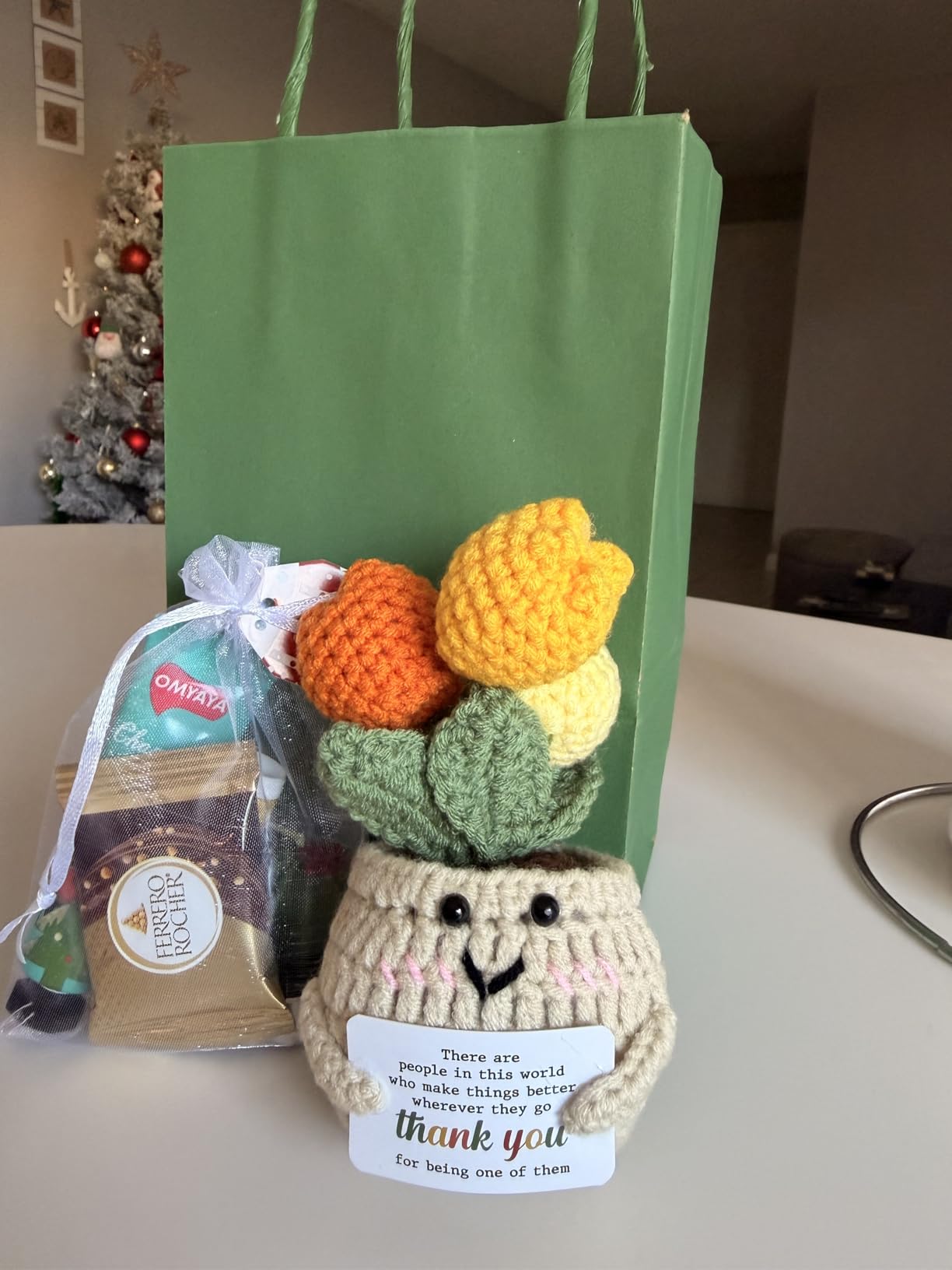 OASSIE Thank You Gifts for Women - Positive Emotional Support Crochet Tulip customer photo 1