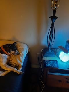RETEYUNG Sunrise Alarm Clocks Sound Machine Moon Lamp for bedrooms customer photo 1