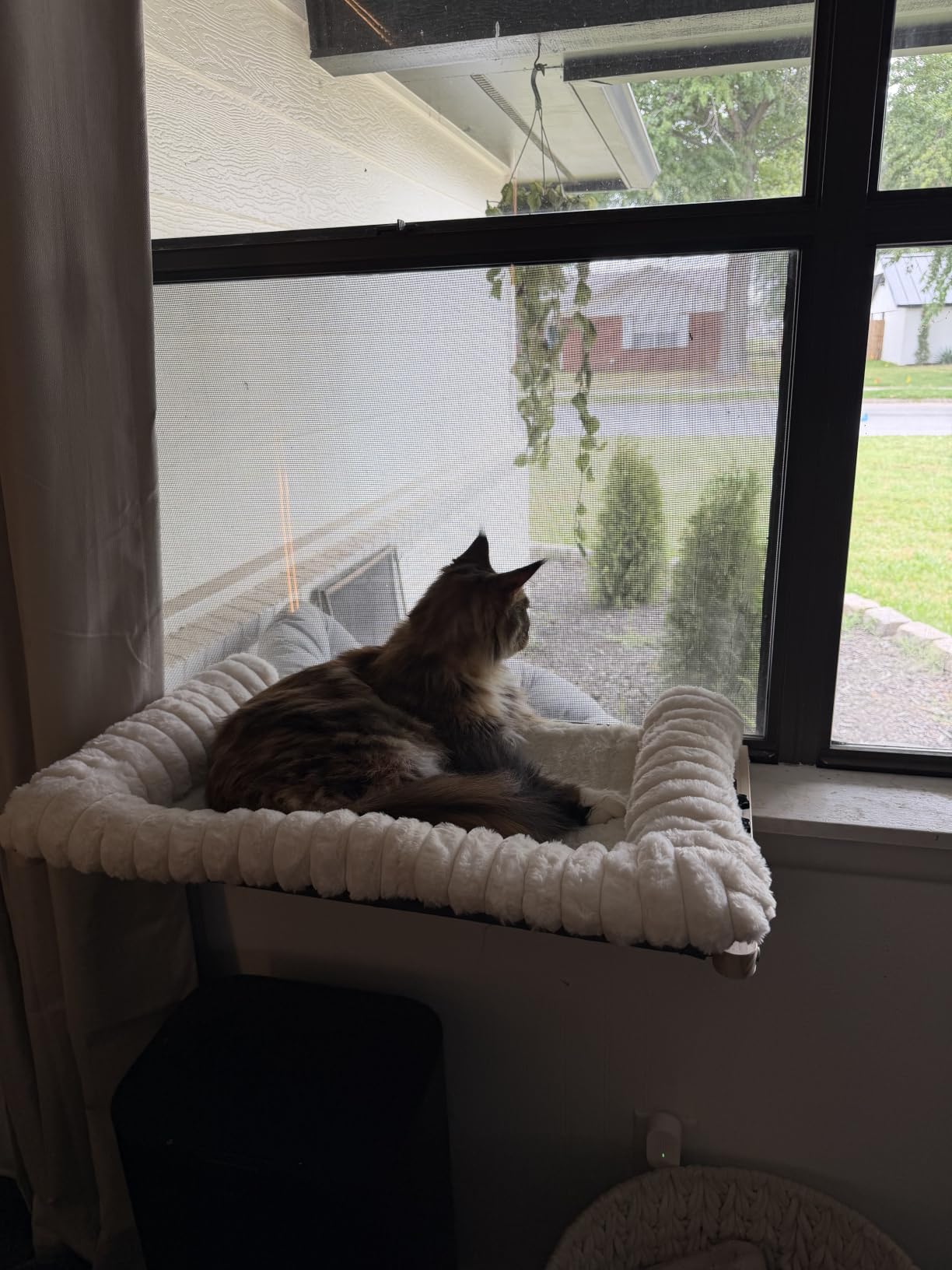 Cloud-Soft Cat Window Sill Perch, Zipper Design Cushion Pet Bed, M customer photo 1