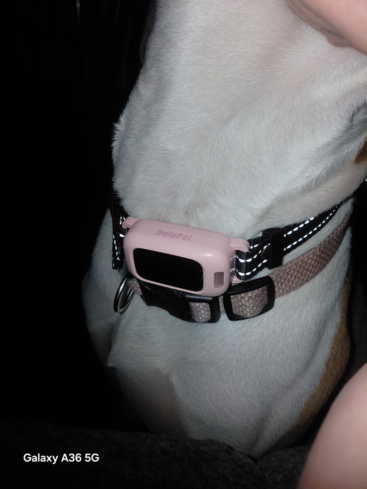 2-in-1 Dog Bark & Shock Collar with Remote, 4500FT Training Range customer photo 1