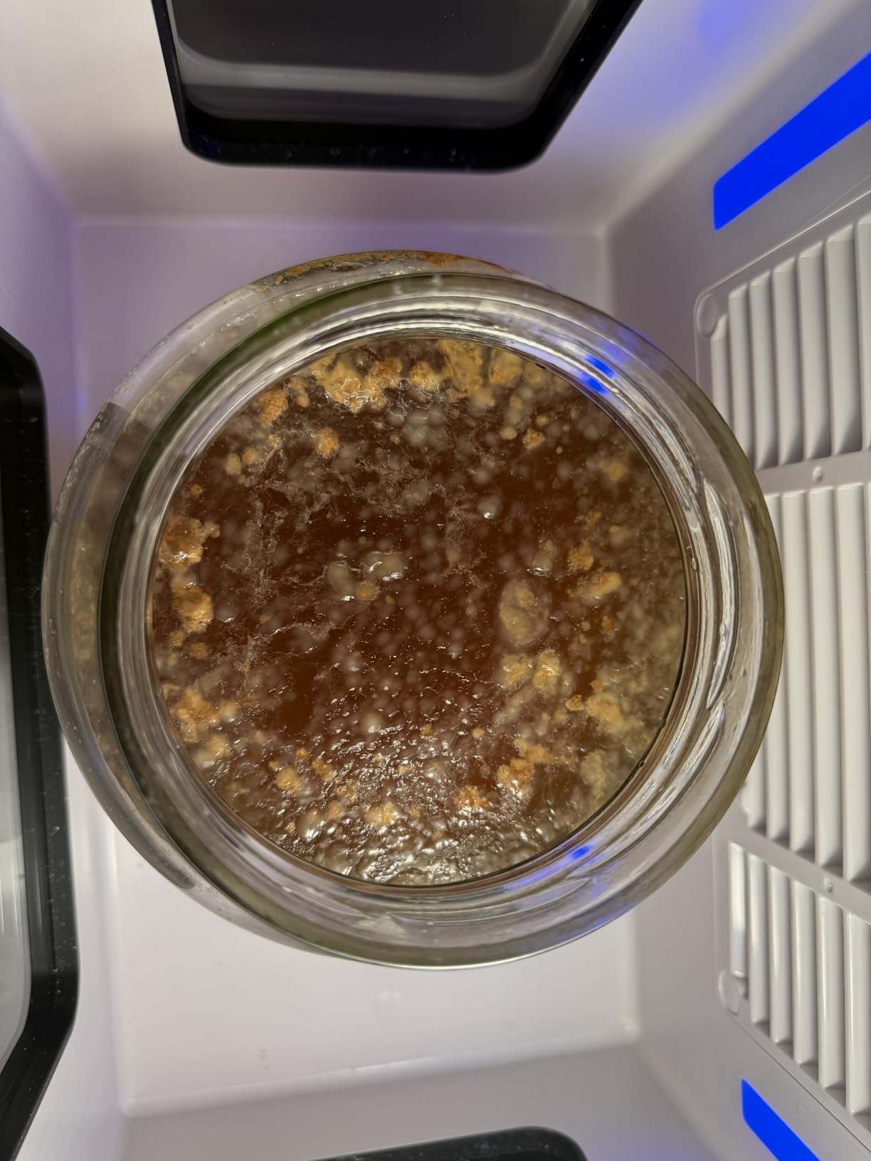12.8L Smart Yogurt Maker Machine & Fermentation Kit, Kombucha, Kimchi, Natto, tempeh, Sourdough Maker, Temp Control 50-115°F, Timer 1 Hr -30 Day, Post-Ferment Cooling customer photo 1
