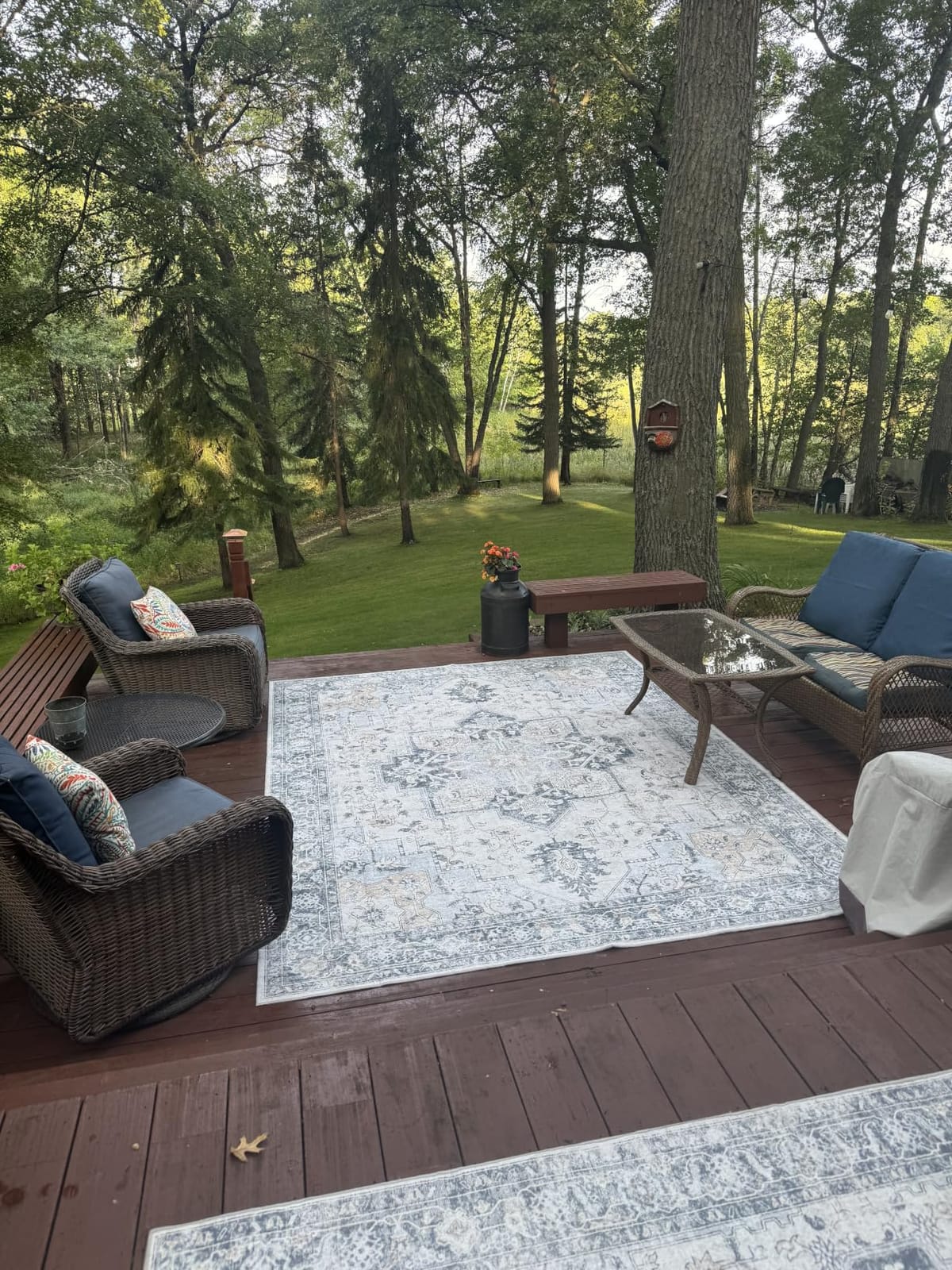 GENIMO Indoor Outdoor Rug, Washable for Patio and Deck, Light Blue, 5x8 customer photo 2