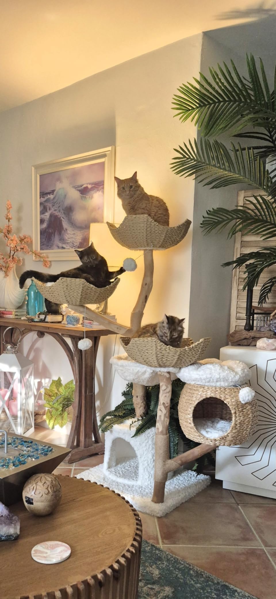 PAWZ Road Modern Cat Tree with Real Wood&Wicker Basket for Large Cats Brown customer photo 1