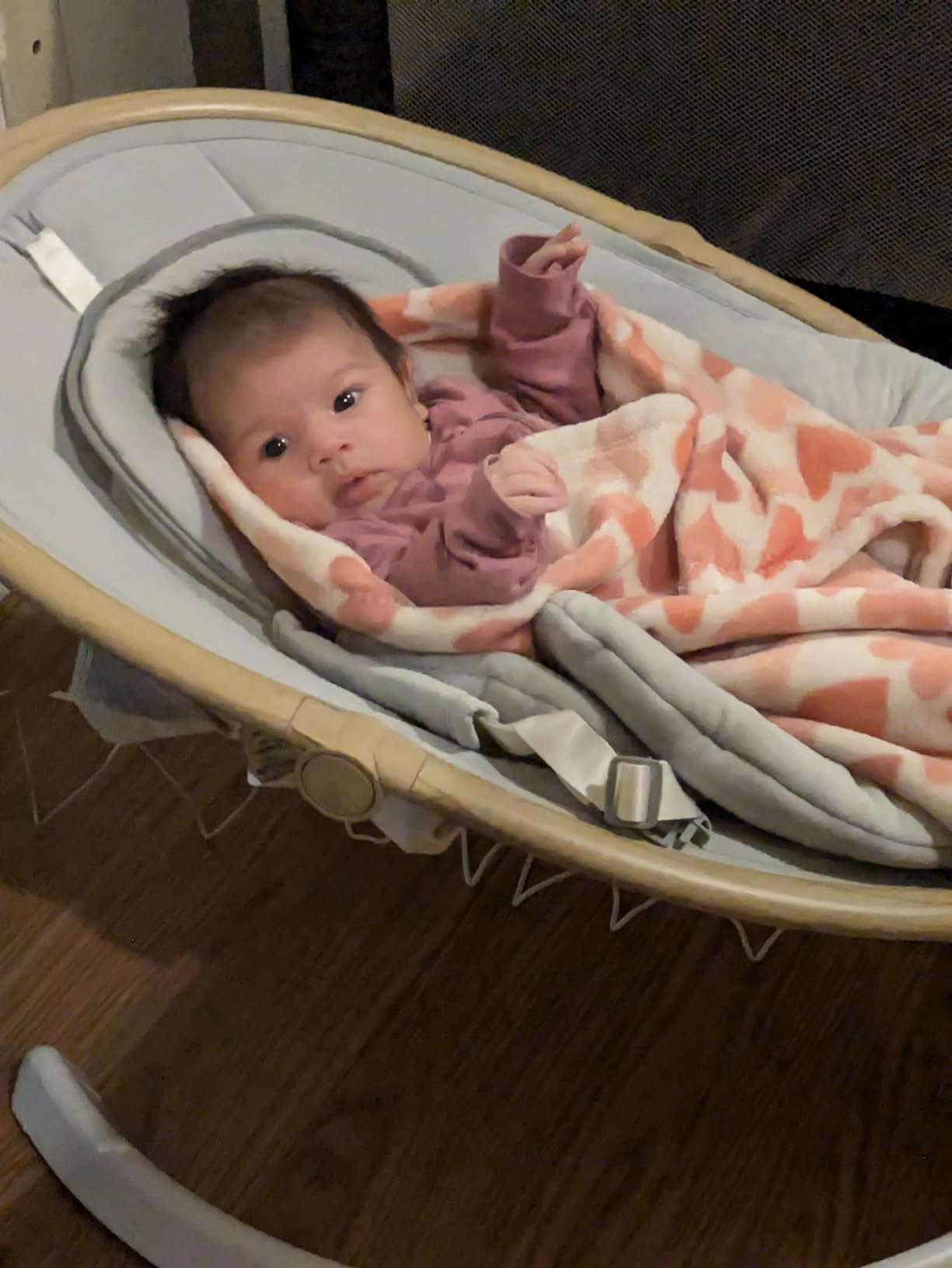 Baby Swings for Infants, Fasonbaby Infant Swing with 3 Seat Positions customer photo 2