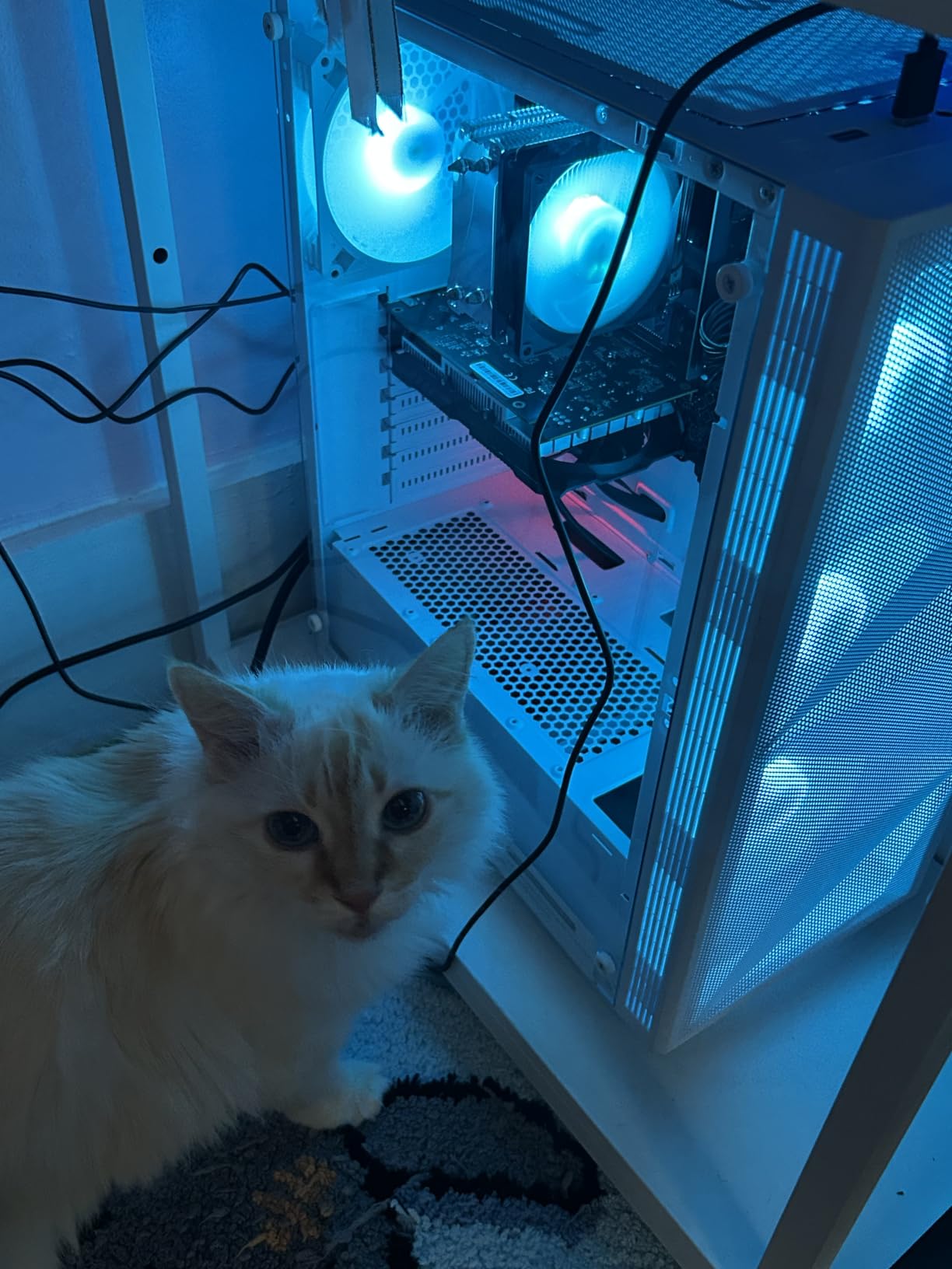 STGAubron Gaming PC Computer Desktop, Intel Core i7 up to 3.9GHz, Radeon RX 580 8G Video Card, 16GB RAM, 1TB SSD, WiFi 6, BT 5.0, RGB Fan x 6, Windows 11 Home customer photo 2