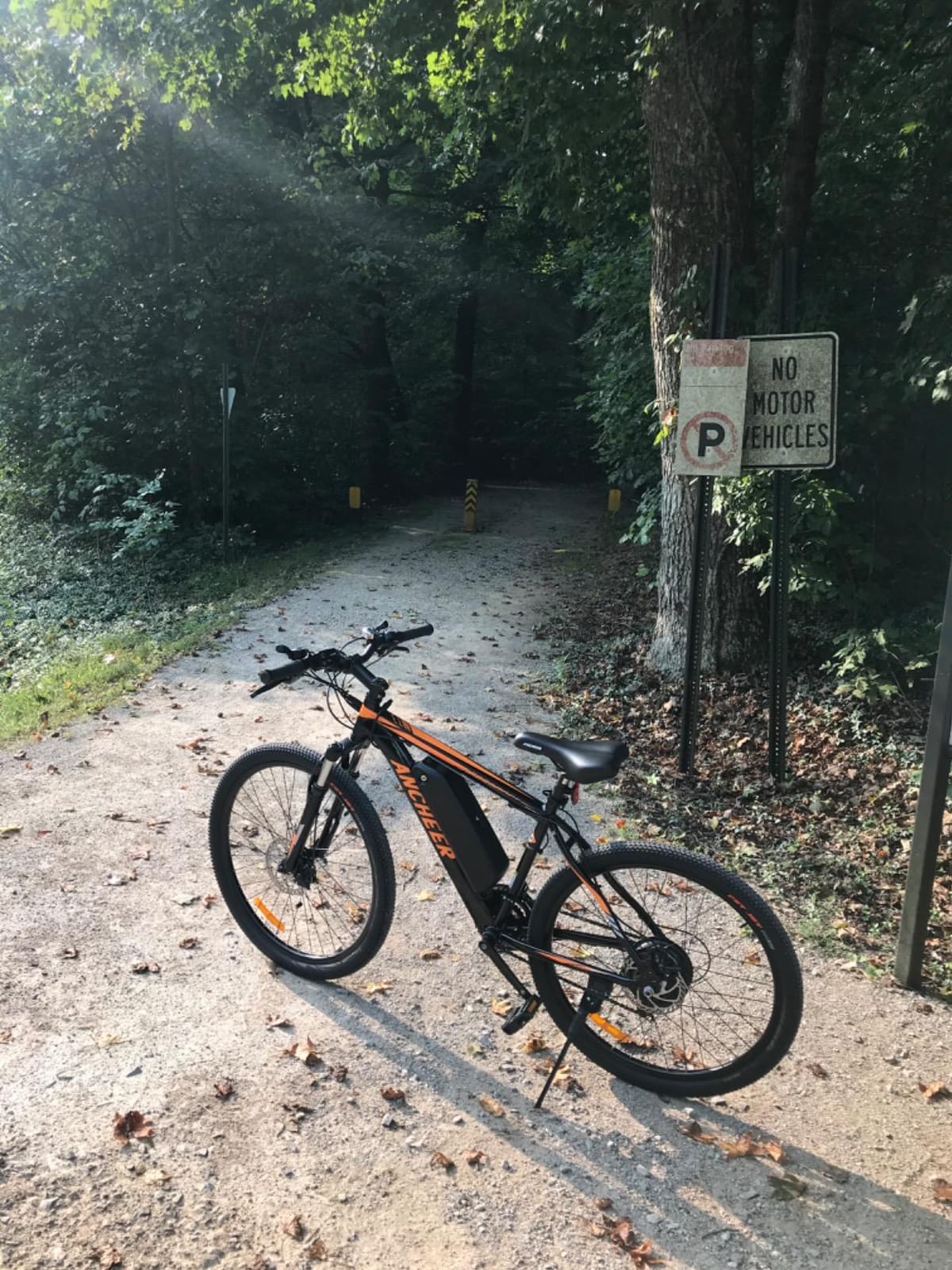 ANCHEER Electric Bike for Adults, Electric Mountain Bike, 26
