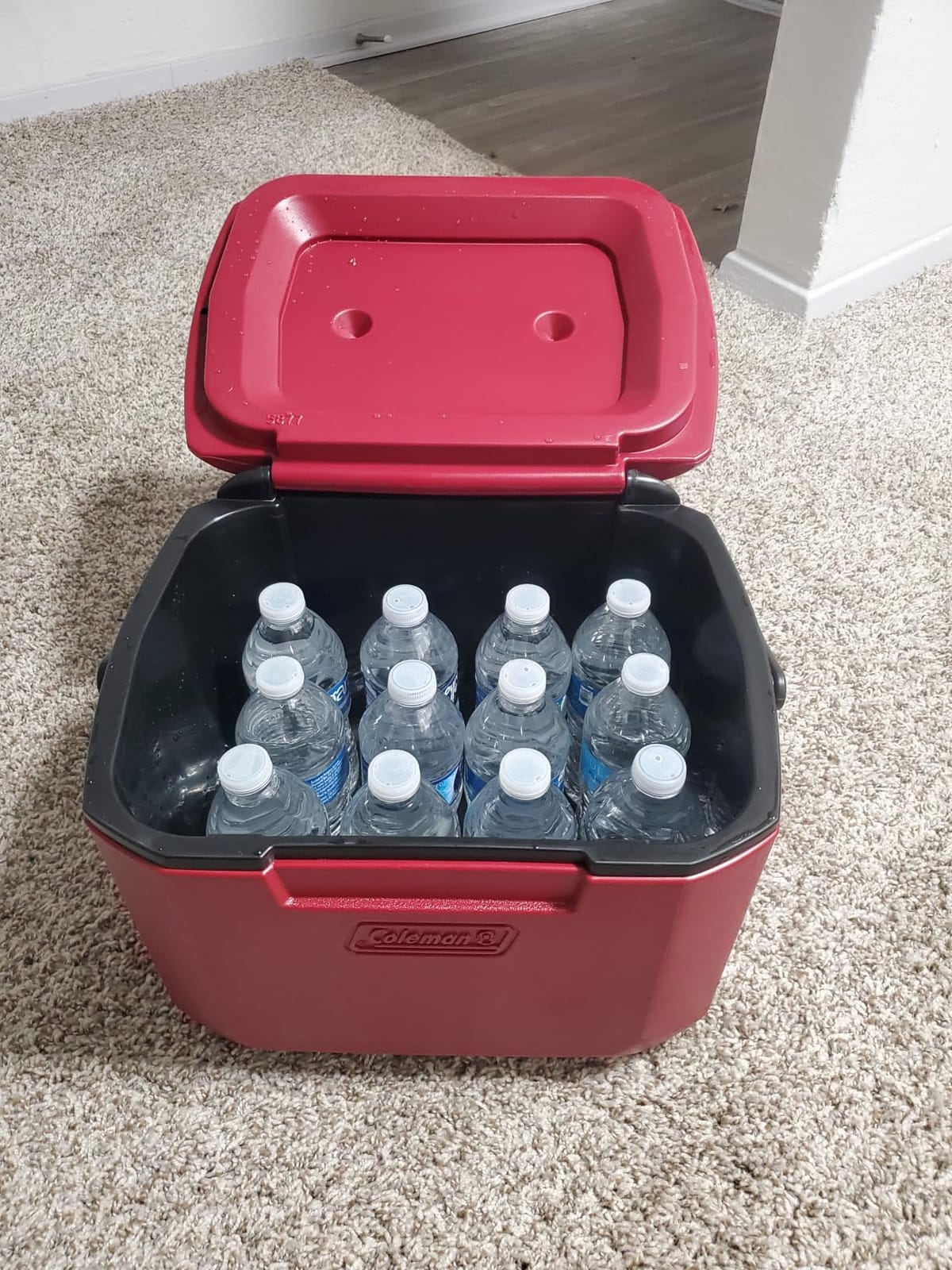 Coleman Chiller 9/16/30/48/60qt Cooler with Ice Retention, Leak Resistant, Great for Camping, Concerts, Sports, and More customer photo 1
