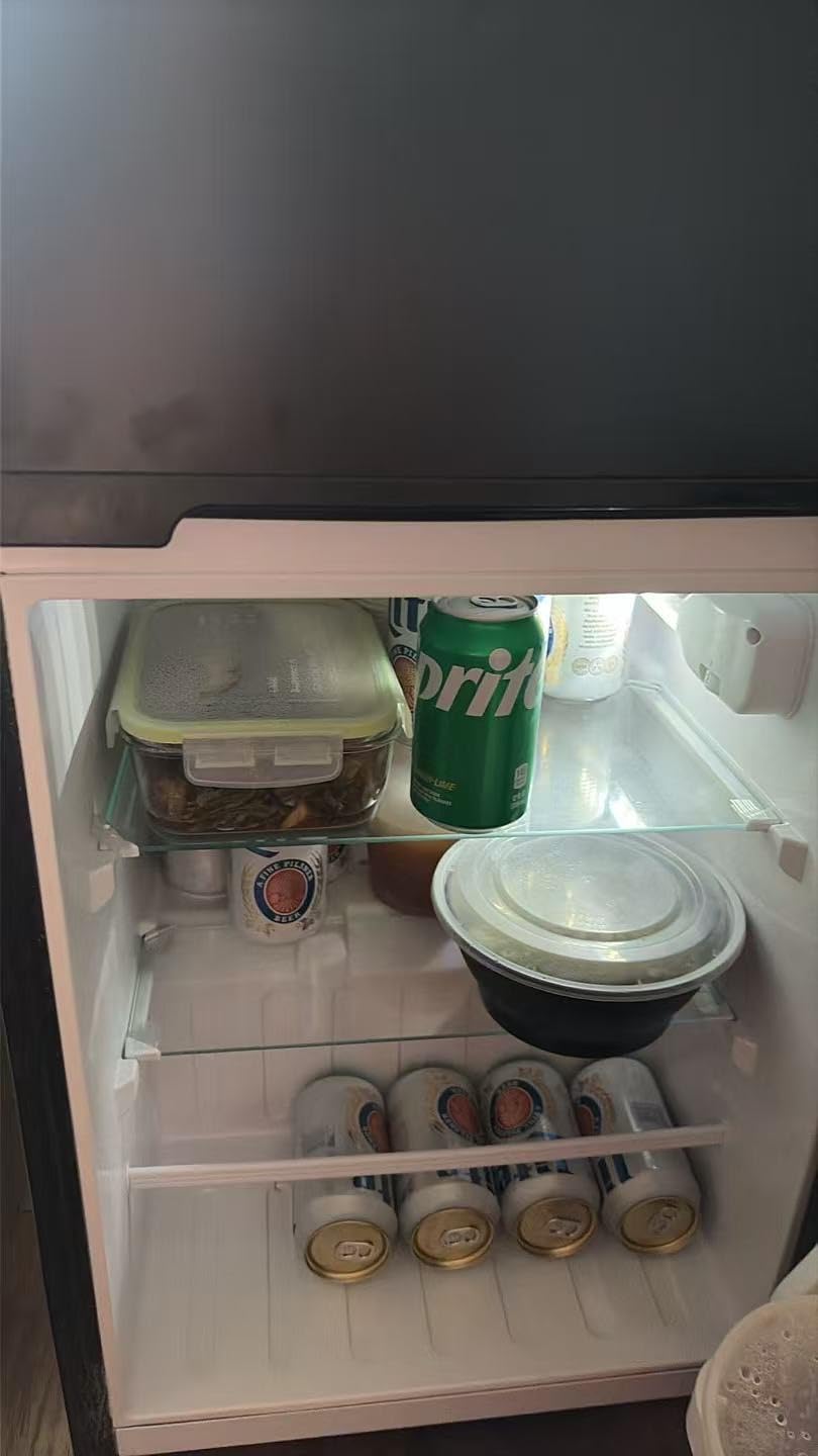 COWSAR 2.5 Cu.Ft Mini Dorm Fridge with Freezer for Bedroom, Office, Silver customer photo 2