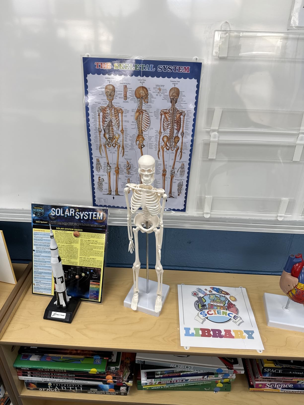 breesky Life Size Skeleton for Halloween: 4.43ft Realistic Human Anatomy Full Body Skeleton Model with 360° Posable Movable Arms - Skeletons for Outdoor Yard Haunted House Atmosphere Decoration customer photo 1