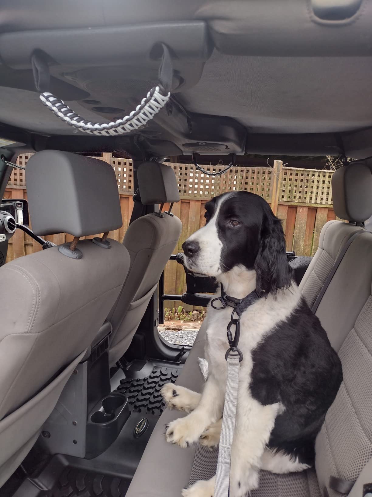 GPS Wireless Dog Fence System, No Subscription Electric Dog Collar, Circular (65-9,840 ft Radius) & Custom Boundaries, Waterproof Portable Pet Containment System for Medium & Large Dogs customer photo 2