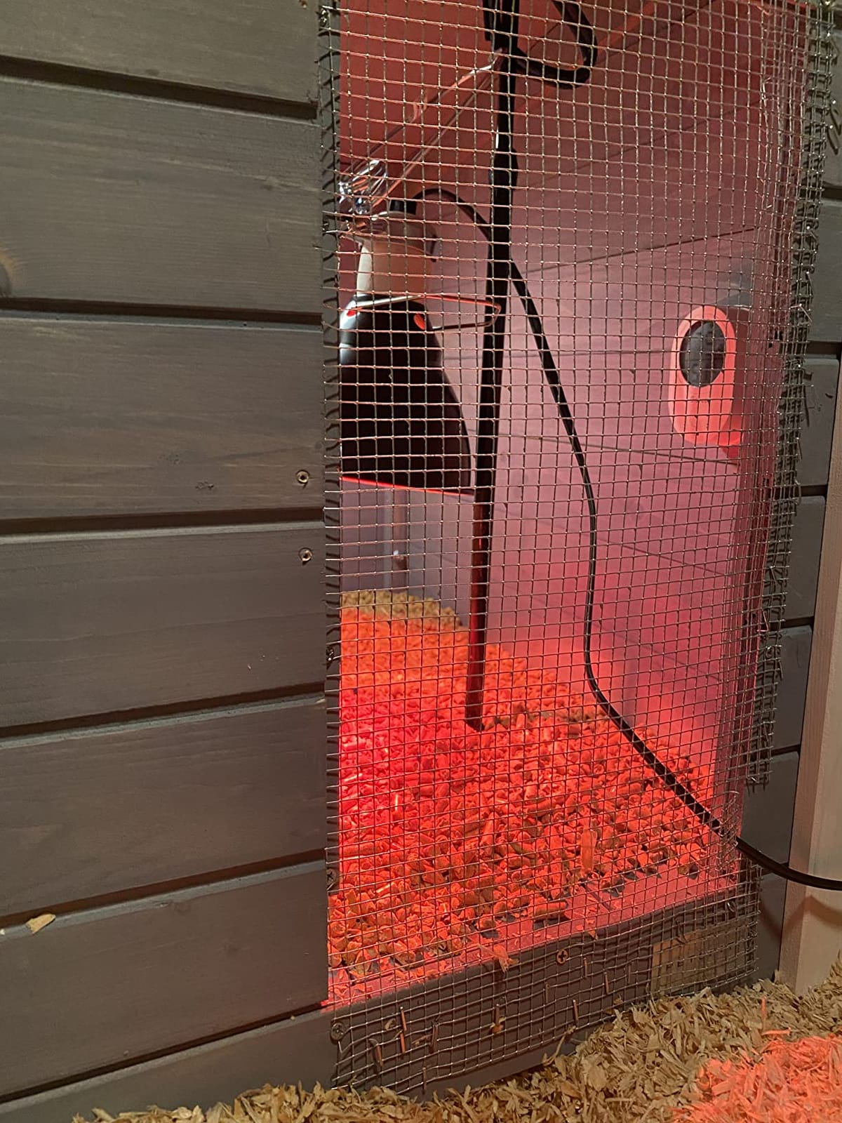 Petsfit Outdoor Chicken Coop with Run for 4-6 Chickens, 3 Nesting Boxes customer photo 1