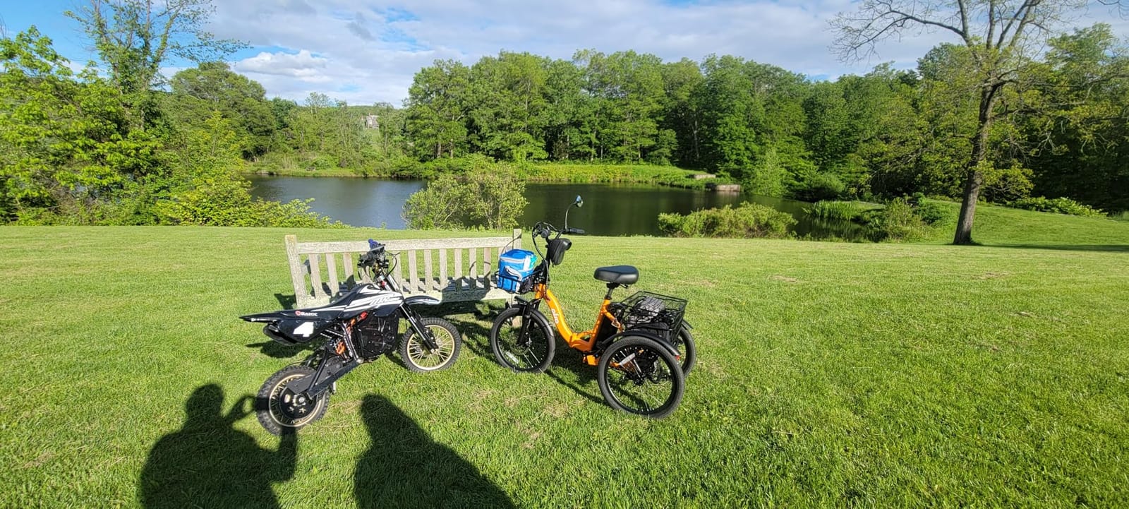 Qlife Electric Bike for Adults, 1200W Peak Brushless Motor Folding Electric Trike, 48V Removable Battery, 18