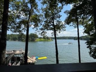 Oversized Lily Pad Floating Mat, 3 Layer 12' Floating Water Mat customer photo 2