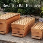 Best Top Bar Beehives