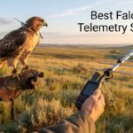 Best Falconry Telemetry Systems