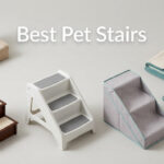 Best Pet Stairs