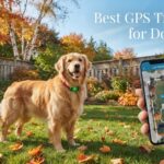Best GPS Trackers for Dogs