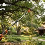 Best Cordless Pole Saws