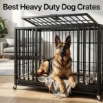 Best Heavy Duty Dog Crates