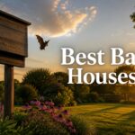 Best Bat Houses