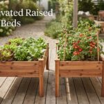 Best Elevated Raised Garden Beds