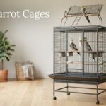 Best Parrot Cages