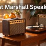 Best Marshall Speakers