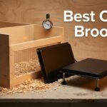 Best Chick Brooders