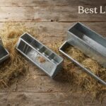 Best Livestock Feeders