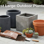 Best Large Outdoor Planters