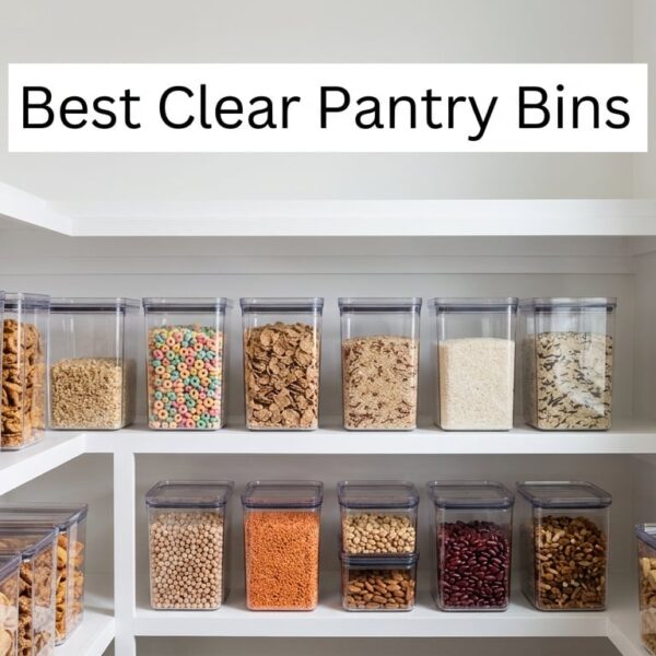 Best Clear Pantry Bins