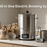Best All in One Electric Brewing Systems