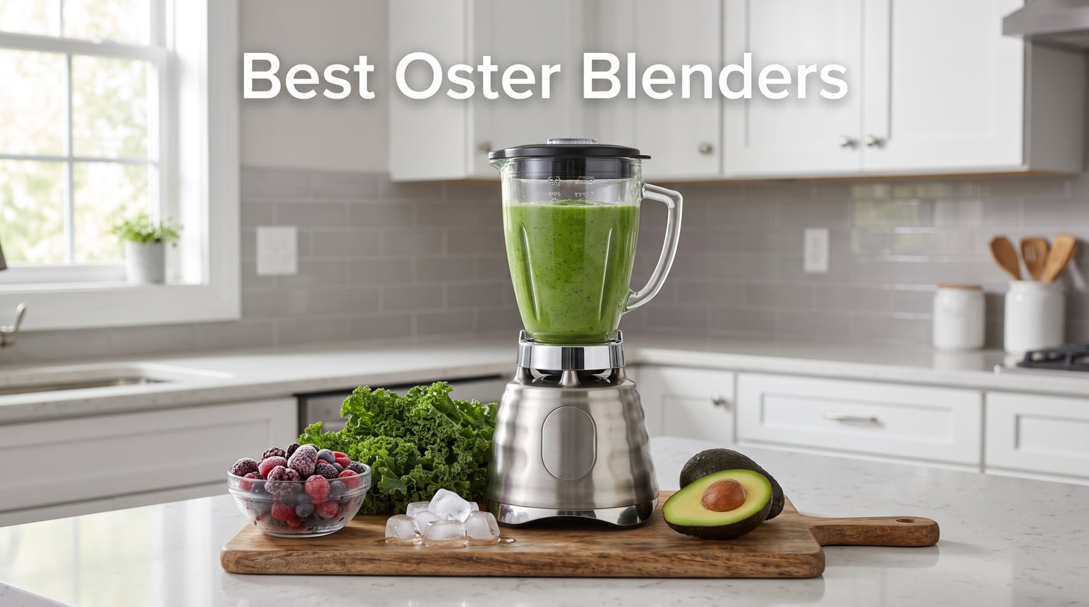 Best Oster Blenders