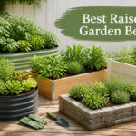 Best Raised Garden Beds