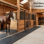 Best Horse Stall Mats for Comfort and Durability