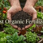 Best Organic Fertilizers