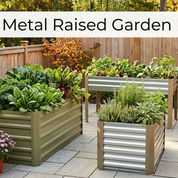 Best Metal Raised Garden Beds