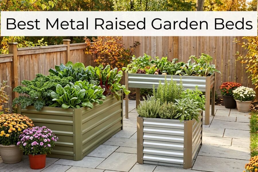 Best Metal Raised Garden Beds