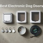 Best Electronic Dog Doors