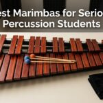 Best Marimbas for Serious Percussion Students